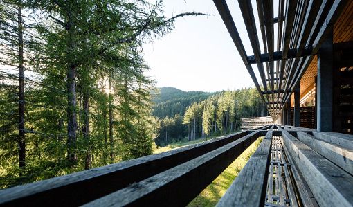 View - Vigilius Mountain Resort in South Tyrol, Italy Vigilius Mountain Resort Forest in South Tyrol